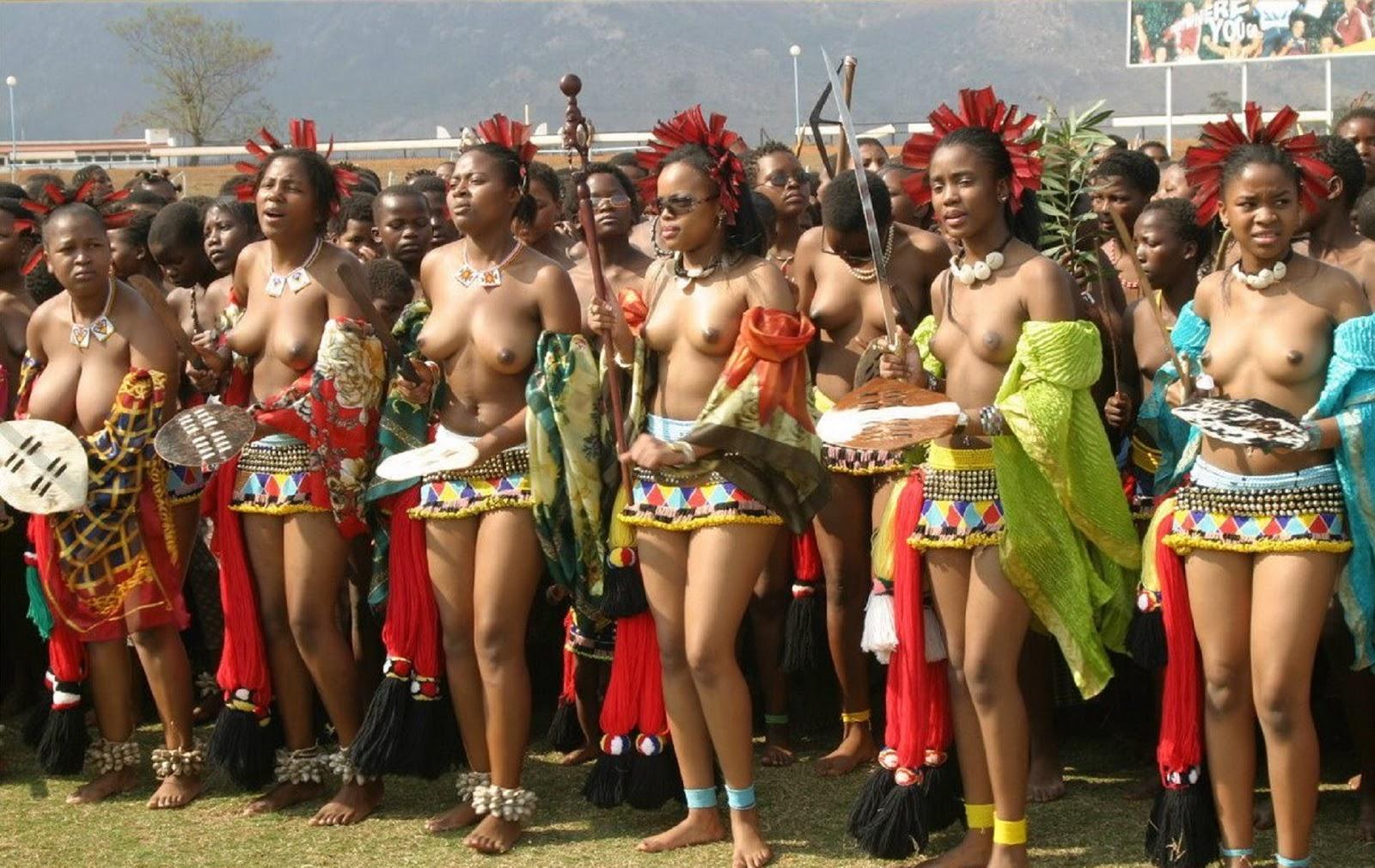 African zulu tits